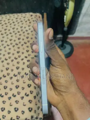 Apple iPhone 12 (Used)