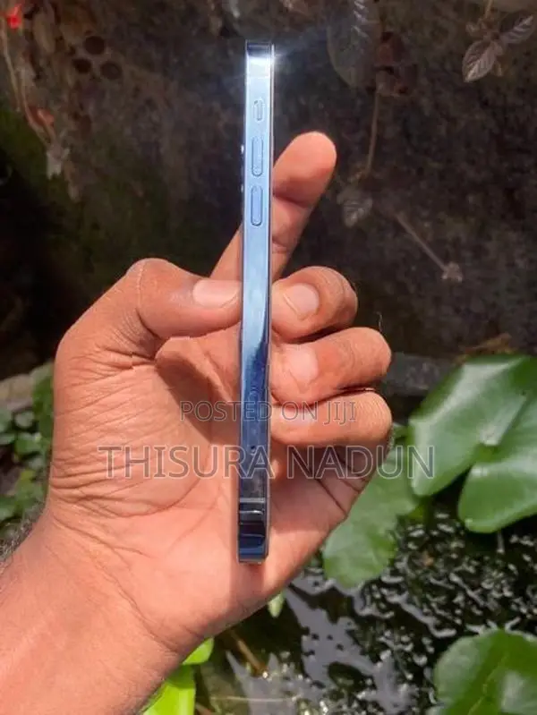 Apple iPhone 12 Pro (Used)