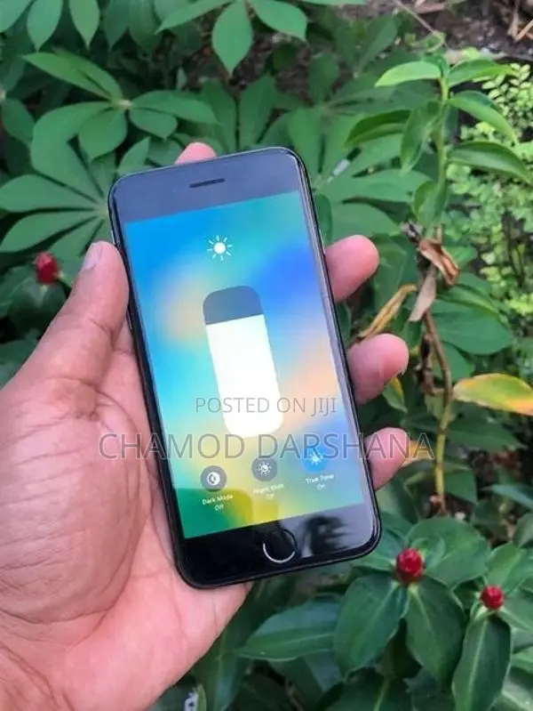 Apple iPhone 8 64gb (Used)