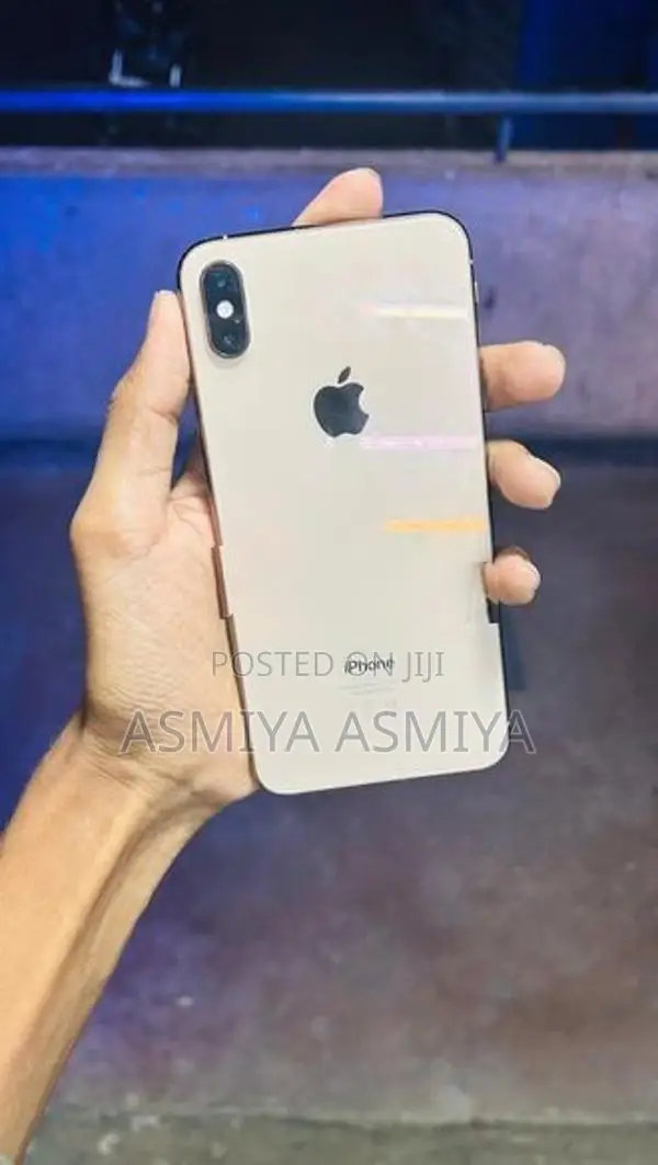 Apple iPhone XS Max (Used)