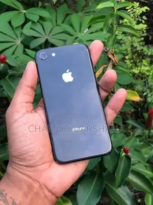 Apple iPhone 8 64gb (Used)