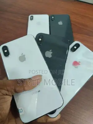 Apple iPhone XS 512GB (Used)