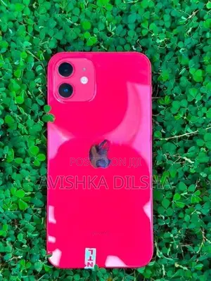 Apple iPhone 12 (Used)