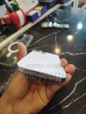 Apple iPhone 16 Pro Max (Used)