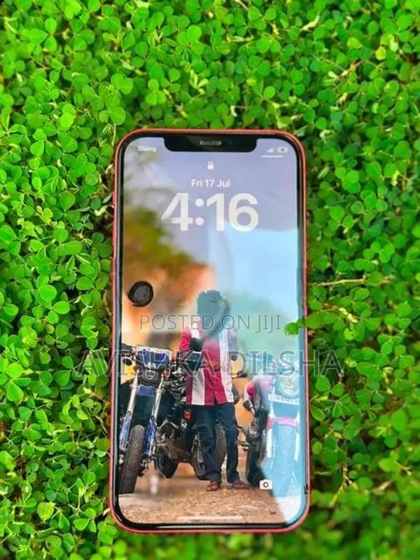 Apple iPhone 12 (Used)
