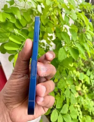Apple iPhone 12 (Used)