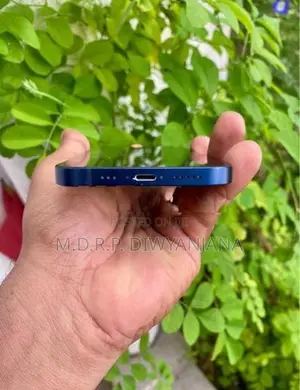 Apple iPhone 12 (Used)
