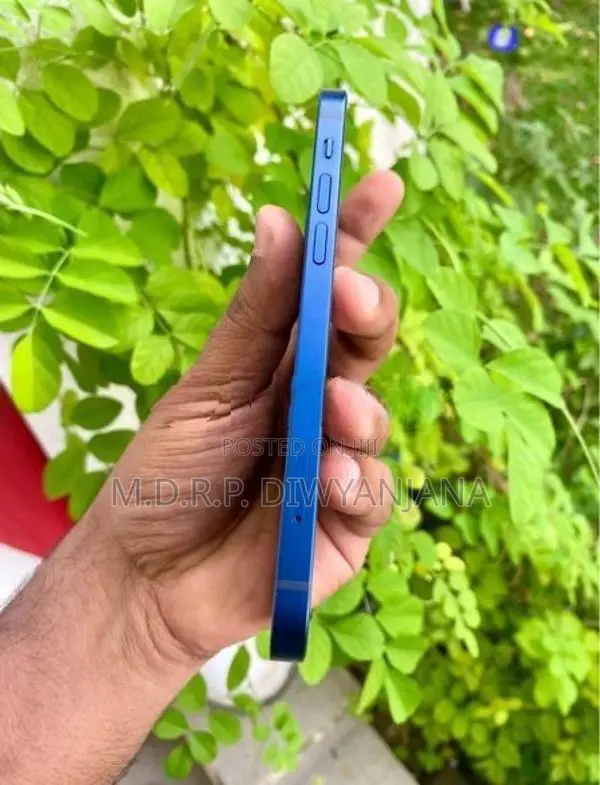 Apple iPhone 12 (Used)