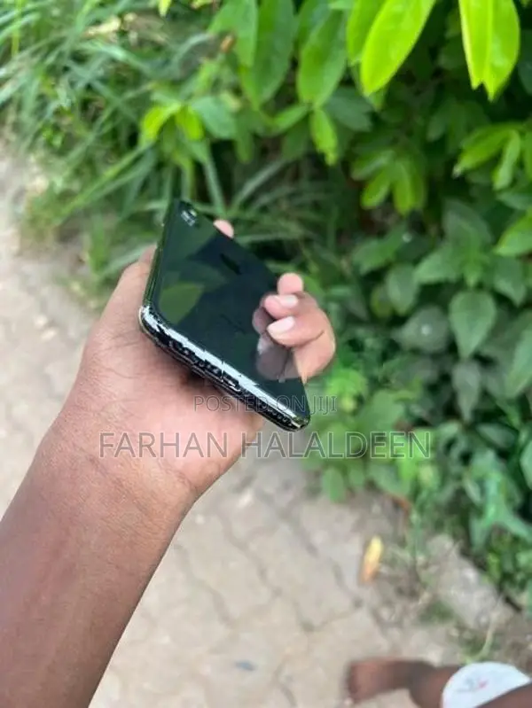 Apple iPhone X 256GB (Used)