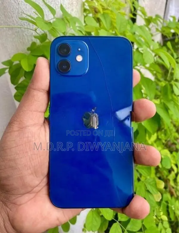 Apple iPhone 12 (Used)