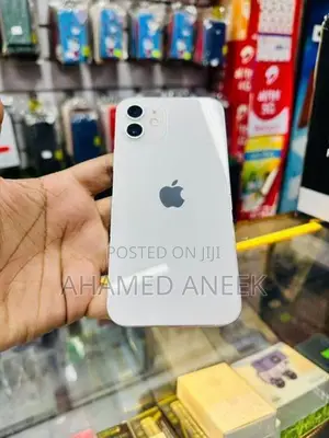 Apple iPhone 12 (Used)
