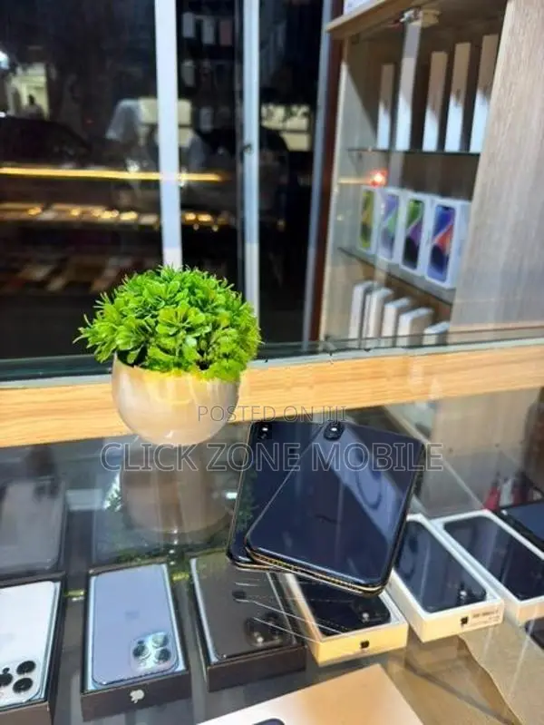 Apple iPhone X 256GB (Used)