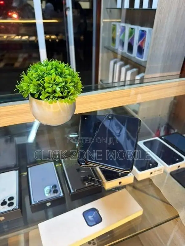 Apple iPhone X 256GB (Used)
