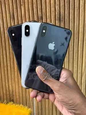 Apple iPhone XS 256GB (Used)
