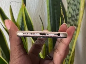 Apple iPhone 6 Parts