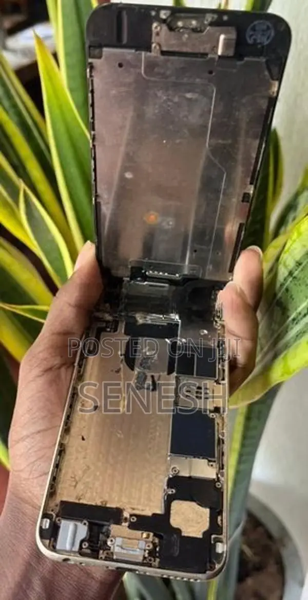 Apple iPhone 6 Parts