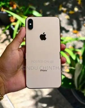 Apple iPhone XS Max 256GB (Used)