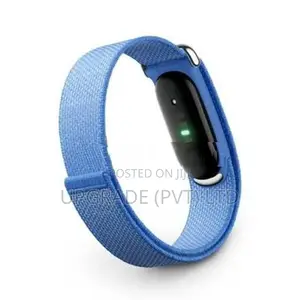 Google Fitbit Air