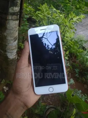 Apple iPhone 7 Plus 128GB (Used)