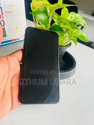 Apple iPhone XS Max 256GB (Used)