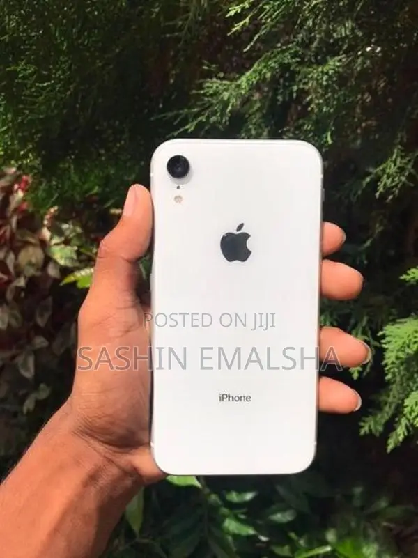 Apple iPhone XR (Used)