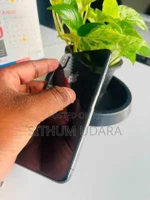 Apple iPhone XS Max 256GB (Used)