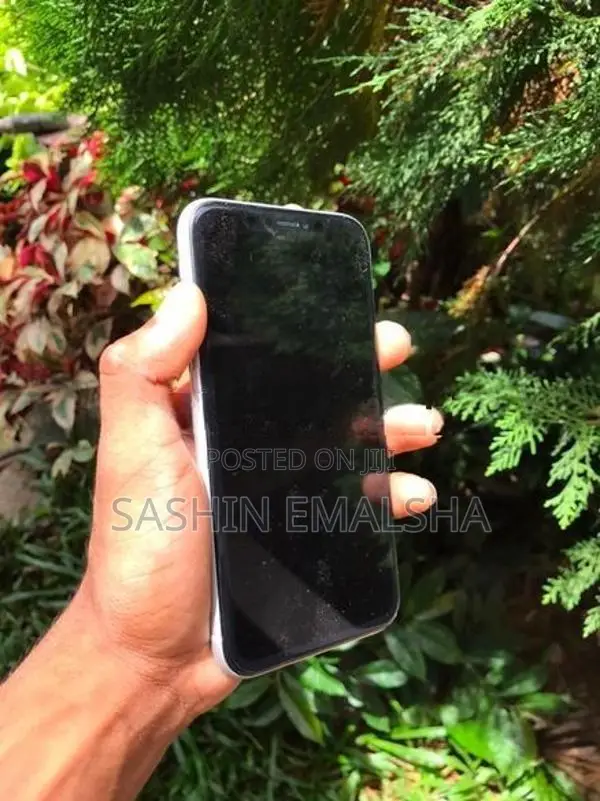 Apple iPhone XR (Used)