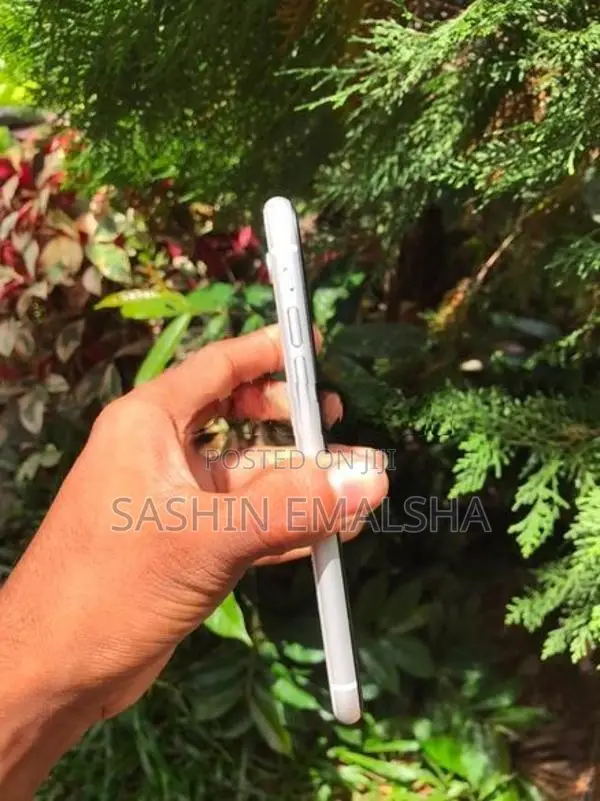Apple iPhone XR (Used)