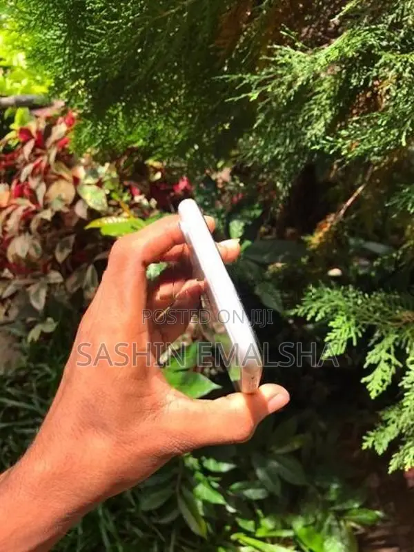 Apple iPhone XR (Used)