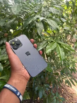 Apple iPhone 14 Pro Max (Used)