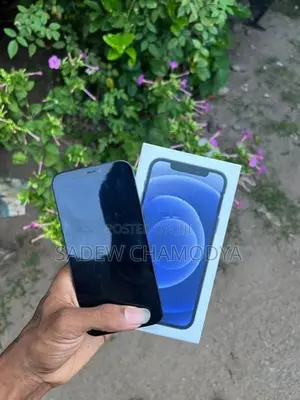 Apple iPhone 12 (Used)