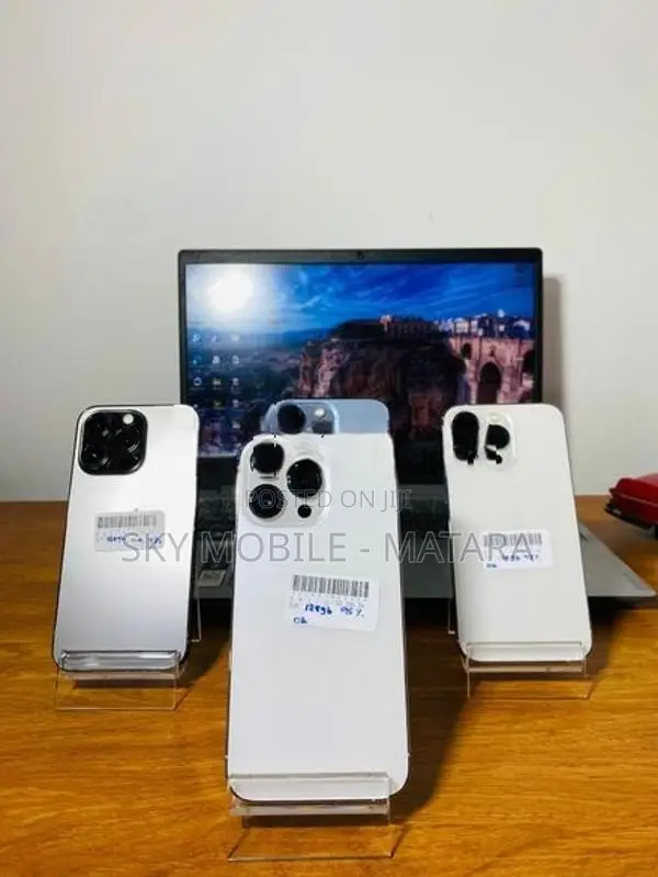 Apple iPhone 13 Pro 256GB (Used)