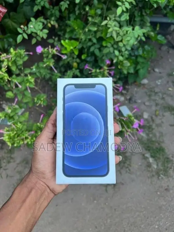 Apple iPhone 12 (Used)