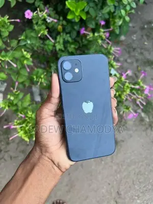 Apple iPhone 12 (Used)