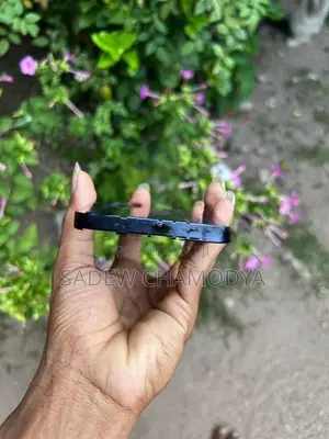 Apple iPhone 12 (Used)