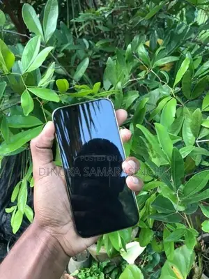 Apple iPhone 13 Pro 256GB (Used)
