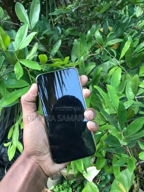 Apple iPhone 13 Pro 256GB (Used)