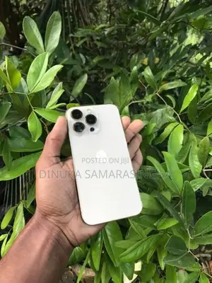 Apple iPhone 13 Pro 256GB (Used)