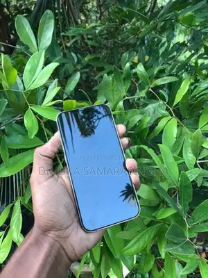 Apple iPhone 13 Pro 256GB (Used)