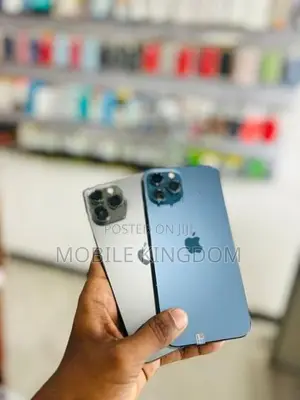 Apple iPhone 12 Pro Max 256GB Fullset Box (Used)