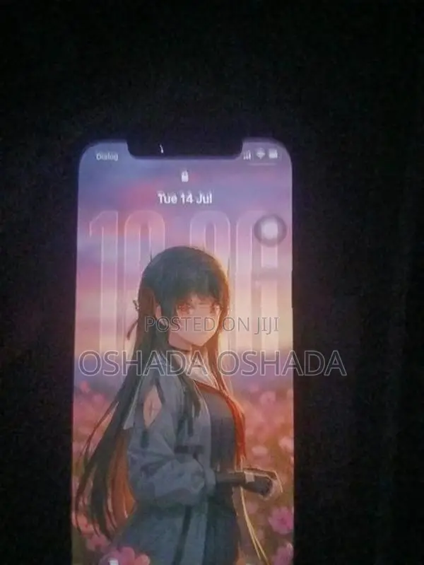 Apple iPhone 12 (Used)