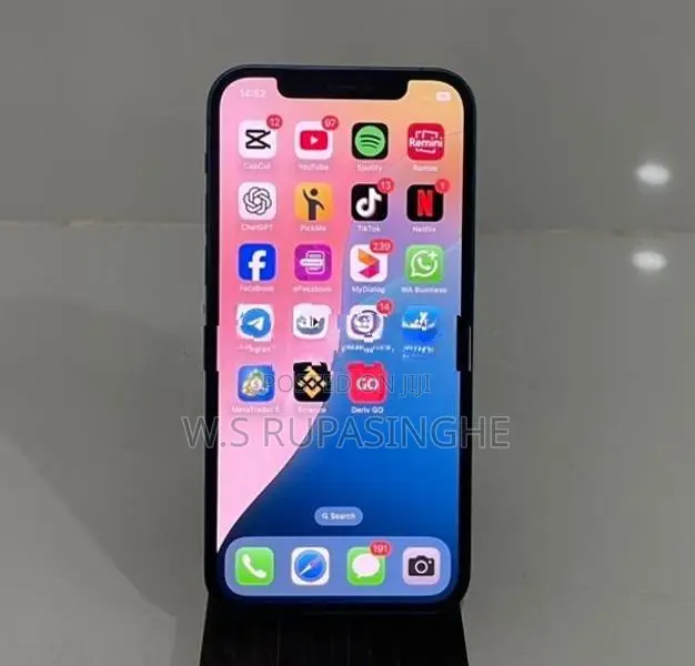 Apple iPhone 12 (Used)