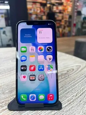 Apple iPhone 12 Pro Max 256GB (Used)