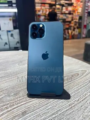 Apple iPhone 12 Pro Max 256GB (Used)