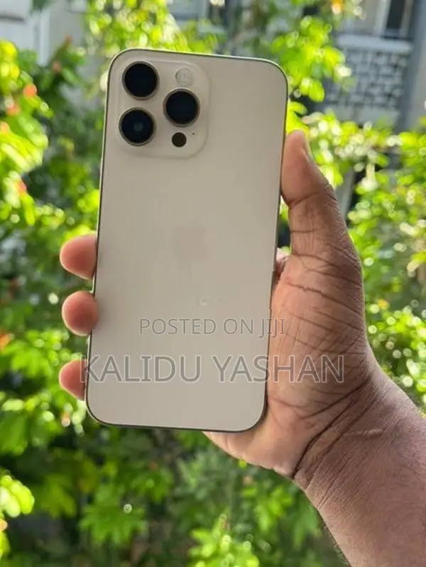 Apple iPhone 14 Pro Max 256GB (Used)