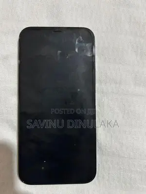 Apple iPhone 12 Pro (Used)