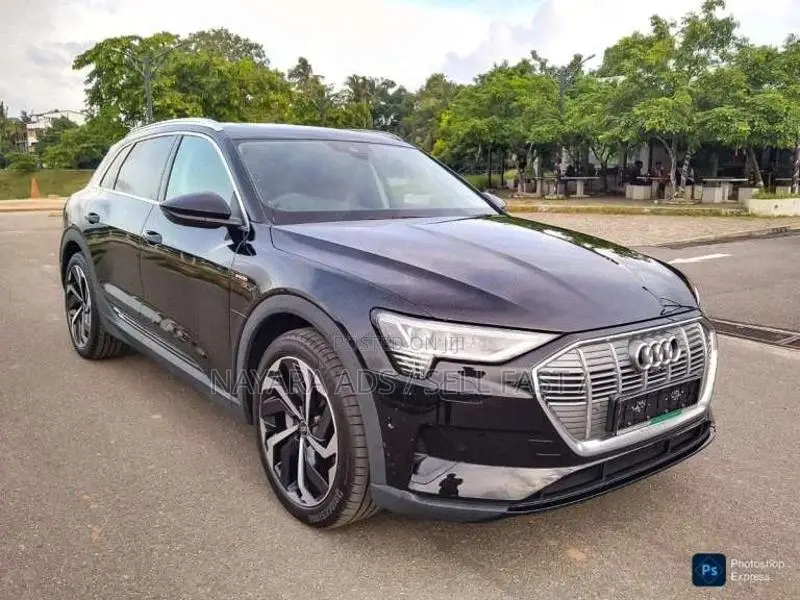 Audi Q8 E-Tron 2024 SUV (Used)