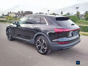 Audi Q8 E-Tron 2024 SUV (Used)