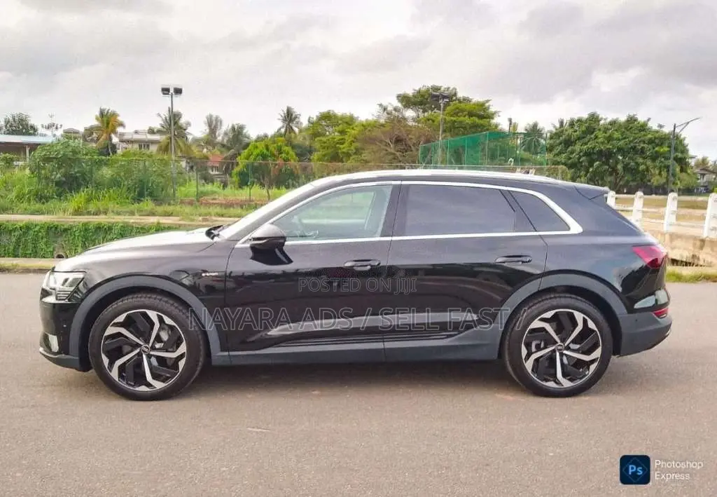 Audi Q8 E-Tron 2024 SUV (Used)