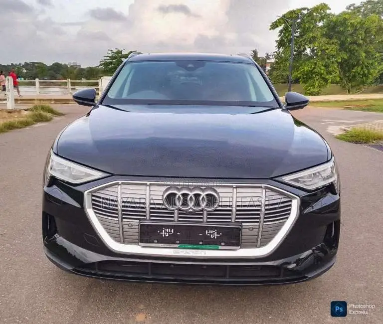 Audi Q8 E-Tron 2024 SUV (Used)